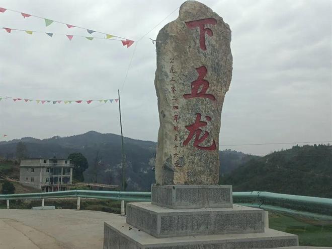 一年蝶变：下五龙迎发展高光时刻(图4)