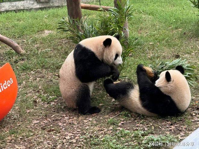 什么时候去重庆旅游天气比较适合重庆3日游精品旅游线路实用(图1)