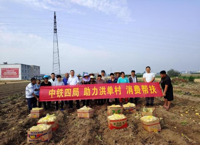 颍上县西三十铺镇洪单村创新发展路径打造乡村振兴新标杆(图1)