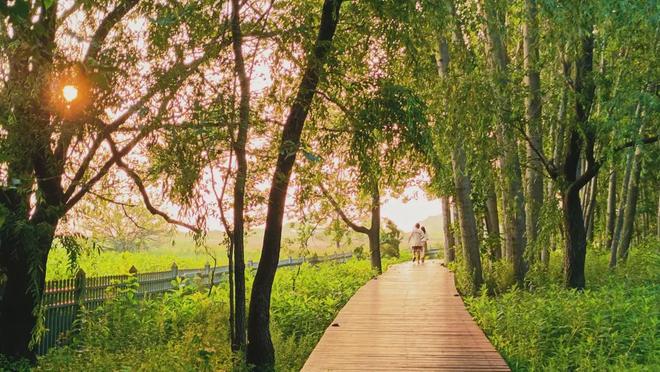 秦皇岛秋季9条「宝藏跑步路线」快收好慢跑看景超合适(图2)