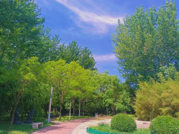 秦皇岛秋季9条「宝藏跑步路线」快收好慢跑看景超合适(图12)