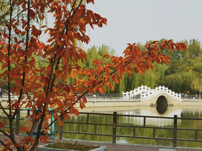 秦皇岛秋季9条「宝藏跑步路线」快收好慢跑看景超合适(图11)