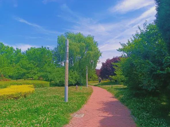 秦皇岛秋季9条「宝藏跑步路线」快收好慢跑看景超合适(图13)