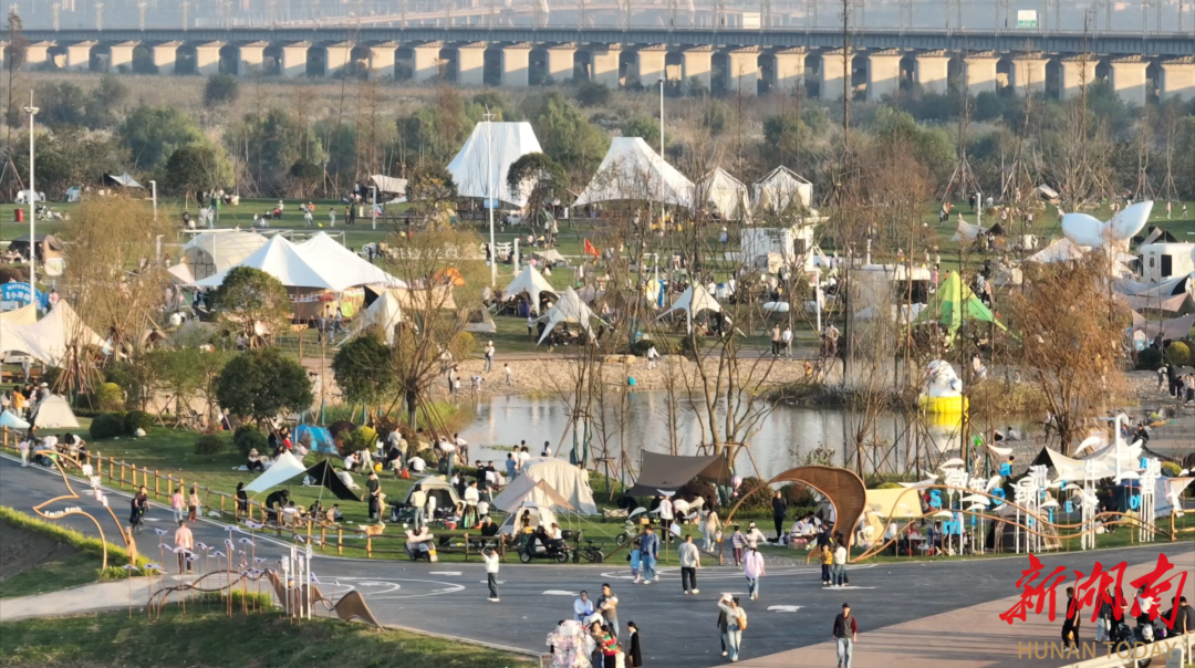 大美洞庭③丨一江碧水绘新卷(图6)