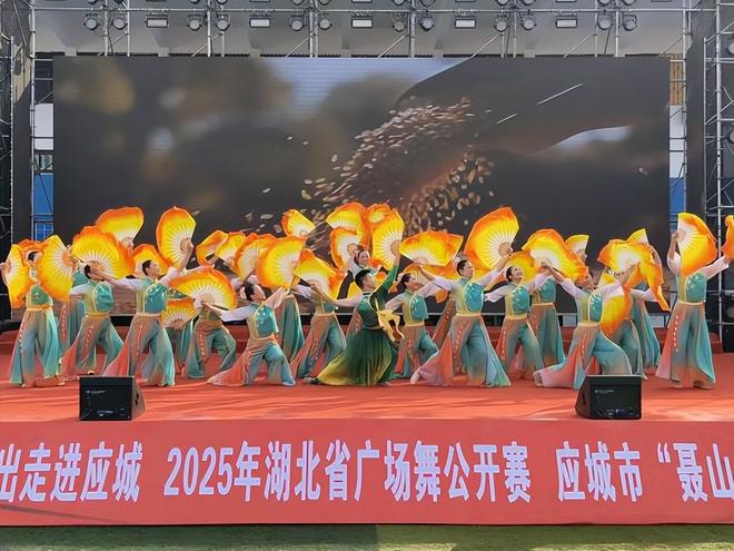 “应舞飞扬”2025年湖北省广场舞公开赛（孝感应城站）圆满举办(图3)