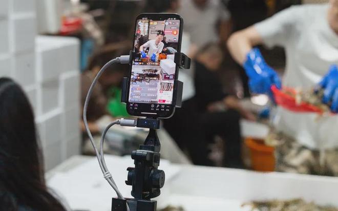 从董宇辉到李佳琦：个人IP转型与直播电商的价值重构(图14)