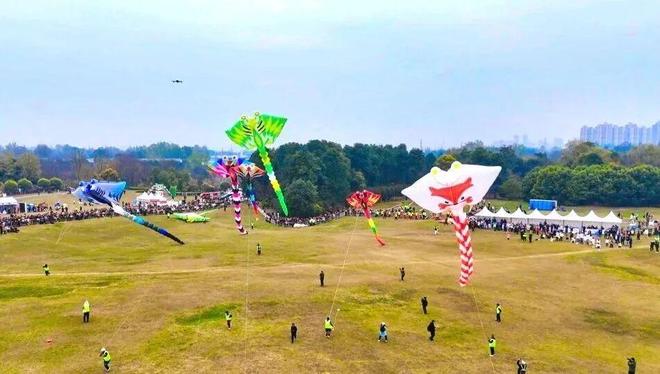 Kaiyun（中国体育）：全国先进！崇州上榜(图5)