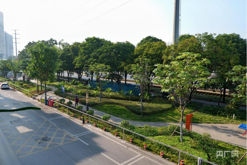 Kaiyun体育网站：从“健身去哪儿”到“活力满邕城”解码南宁体育强市建设新路径(图3)