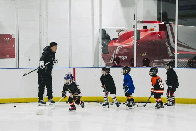 Kaiyun体育网站：陈芋汐、诸韵颖助力全民冰雪热第十二届全国大众冰雪季上海分会场启动(图14)
