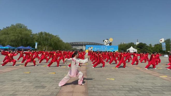 Kaiyun体育网站：依托国家级专业平台海太协会以五秩传承开启体教融合新征程(图2)
