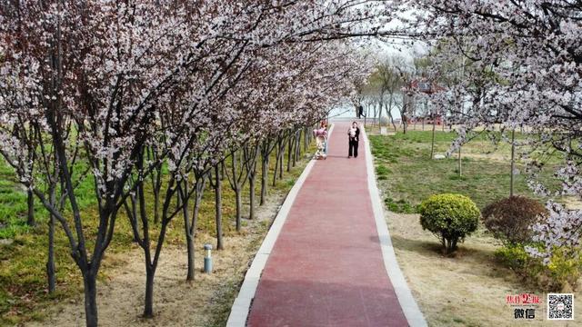 焦作7座体育公园都有哪些运动清单？(图1)