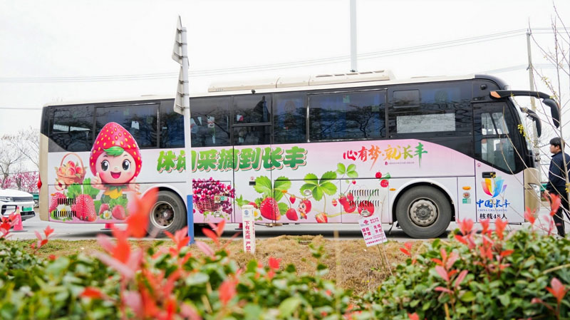 2026长丰县第二届草莓采摘亲子游全民健身欢乐跑活动圆满落幕(图2)