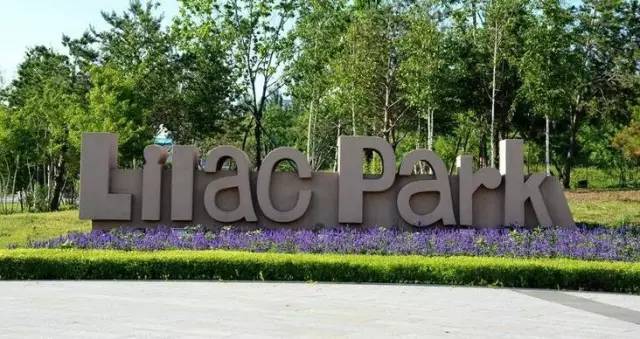 哈尔滨又新增一处20万平米公园年底还有…群力十大公园盘点(图6)